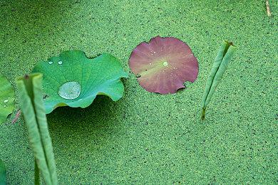 肉鸽游戏《Hell Clock》Steam页面 明年发售